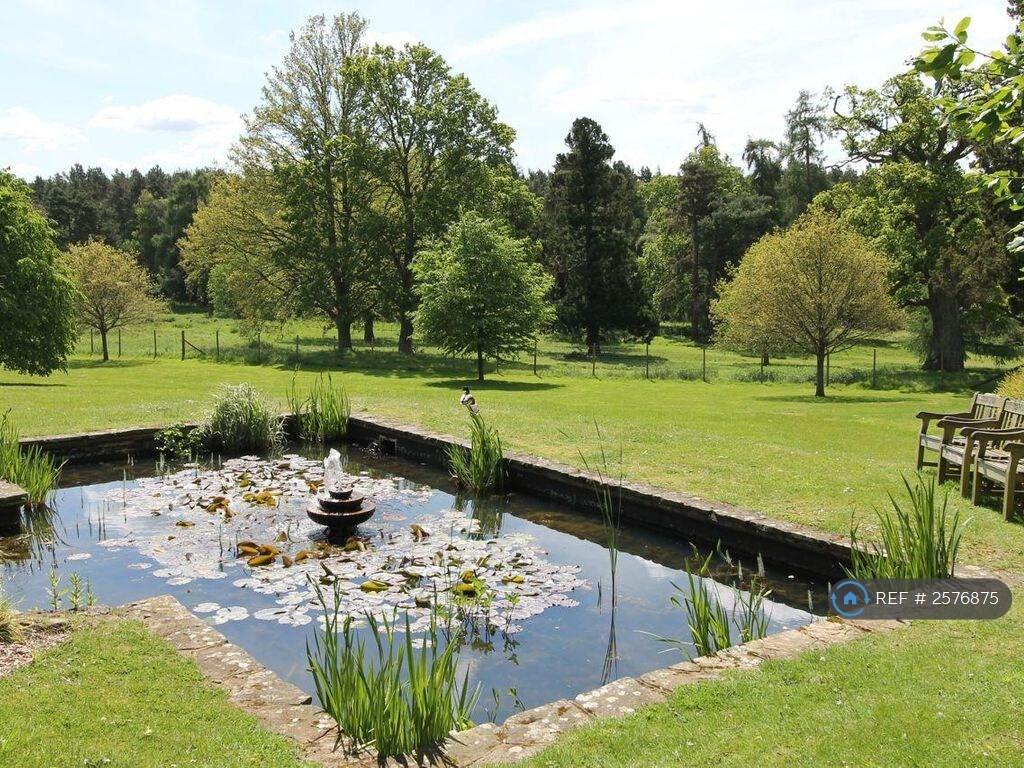 Pond Within Parkland Grounds