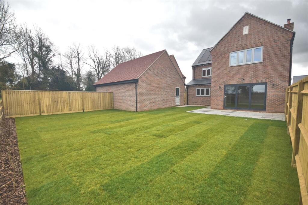 Back Garden.jpg