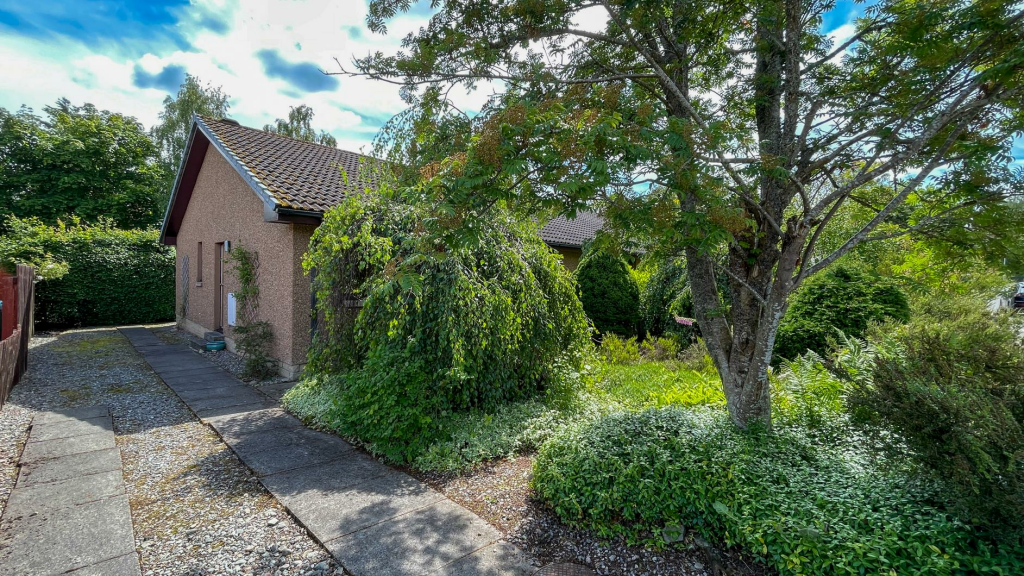 DRIVEWAY &amp; FRONT GARDEN