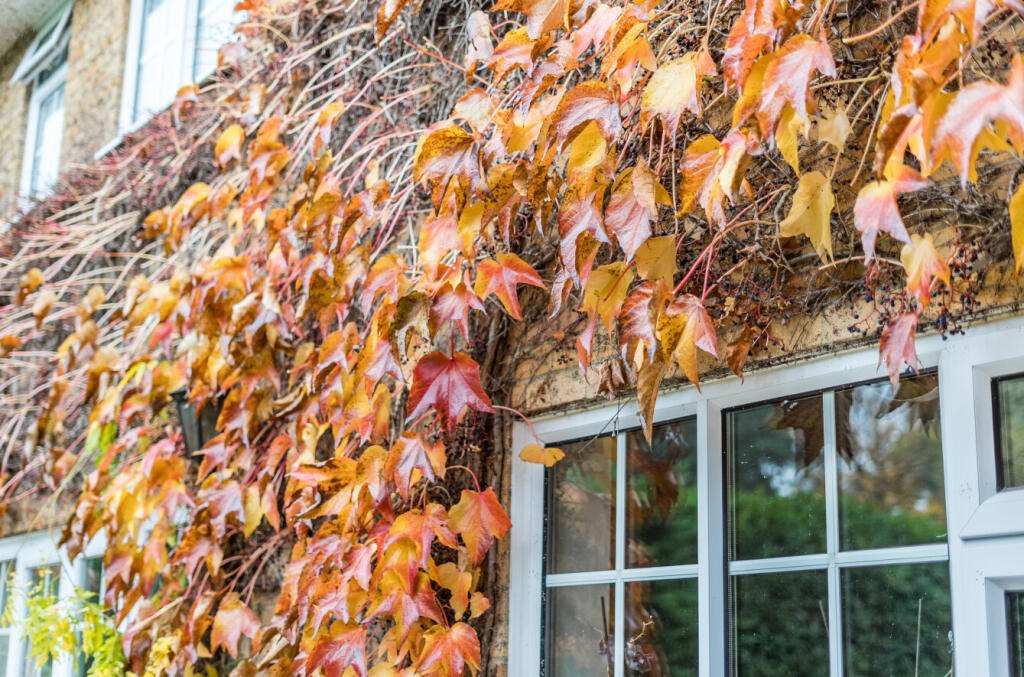 1375149-35-690def...