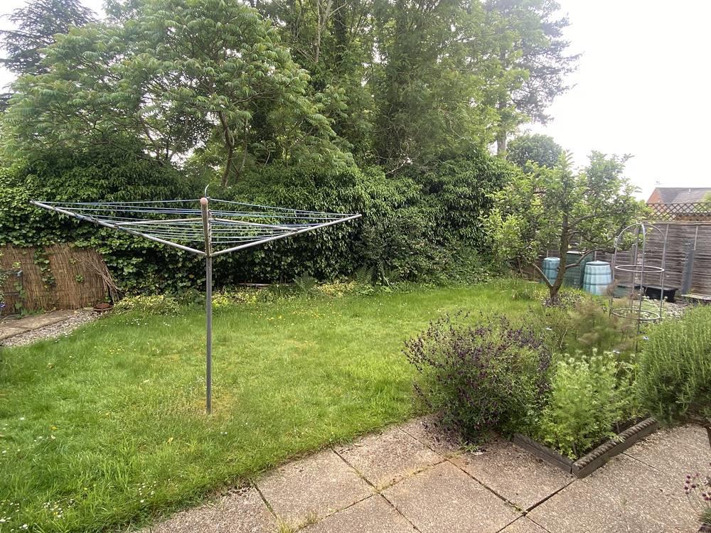 garden.jpg