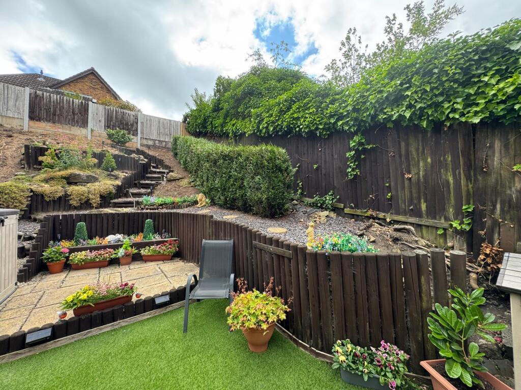 Back garden