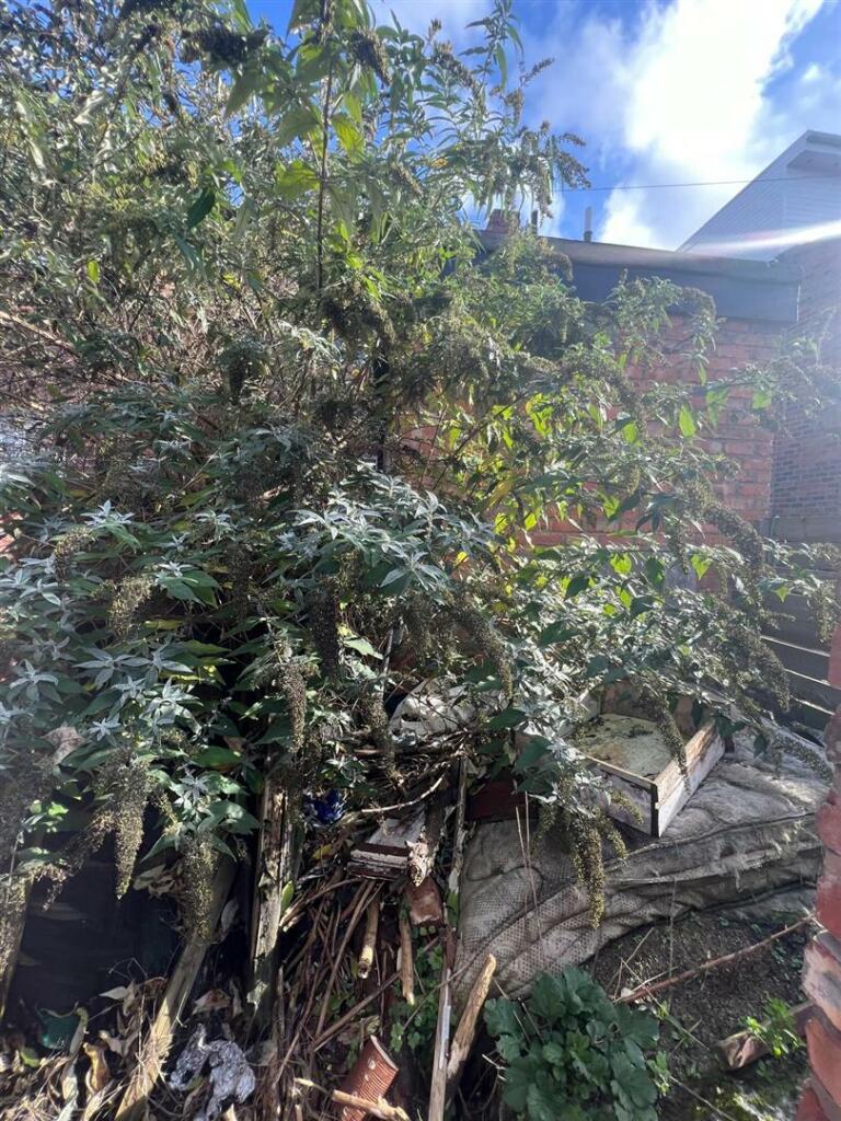 WhatsApp Image 2024-10-26 at 13.12.01 (2).jpeg