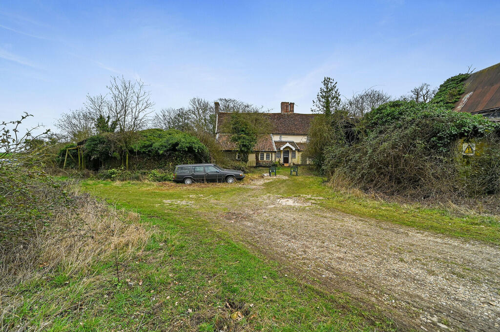 PT-DB(WP)-OakTree...