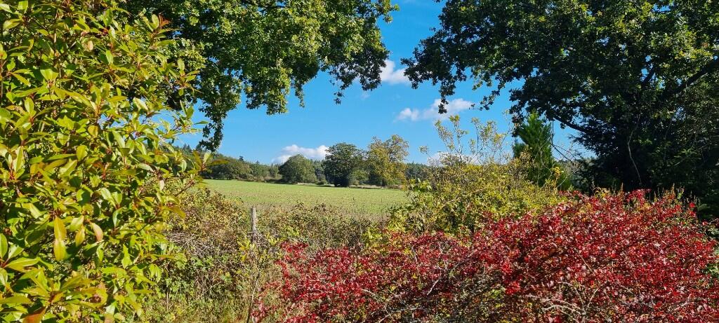 Arlots Farmhouse, Elvetham Lane, RG27 8AJ