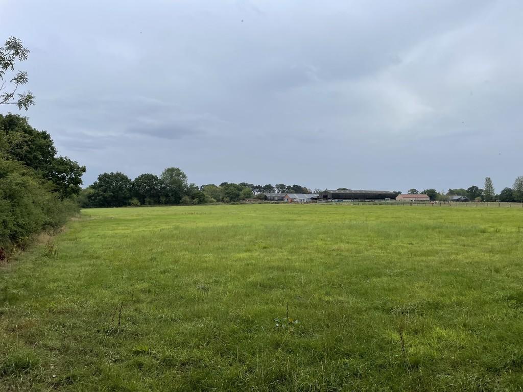 Lot 5