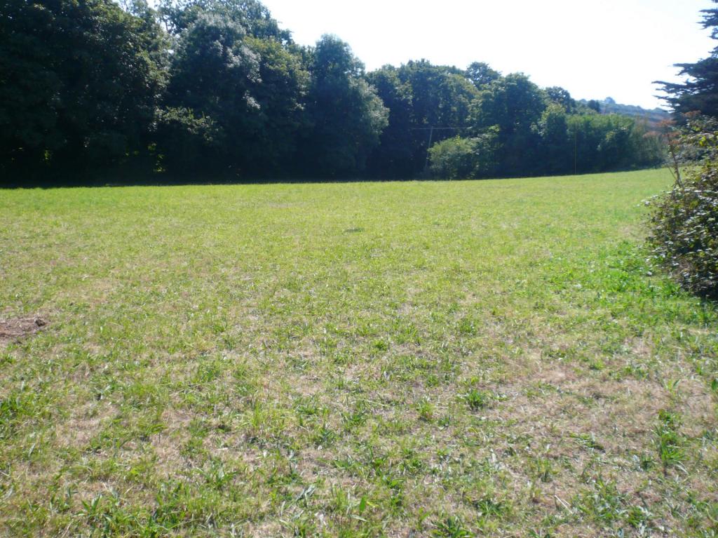 Pastureland