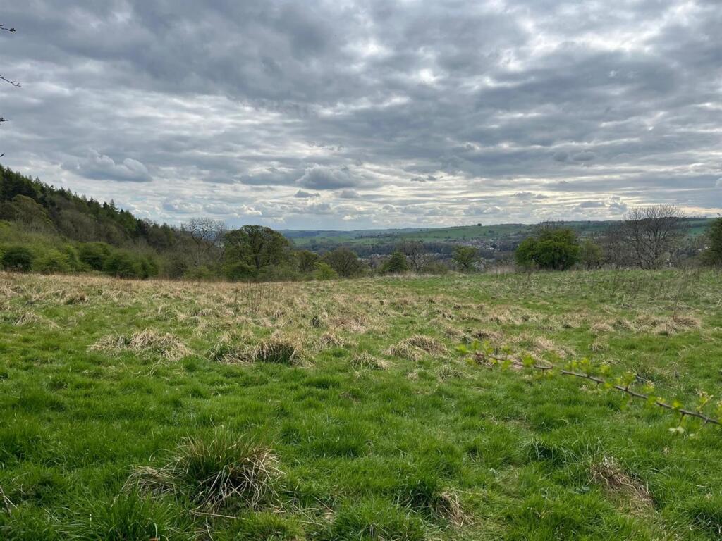 PHOTO-2025-04-28-19-50-12 (3).jpg