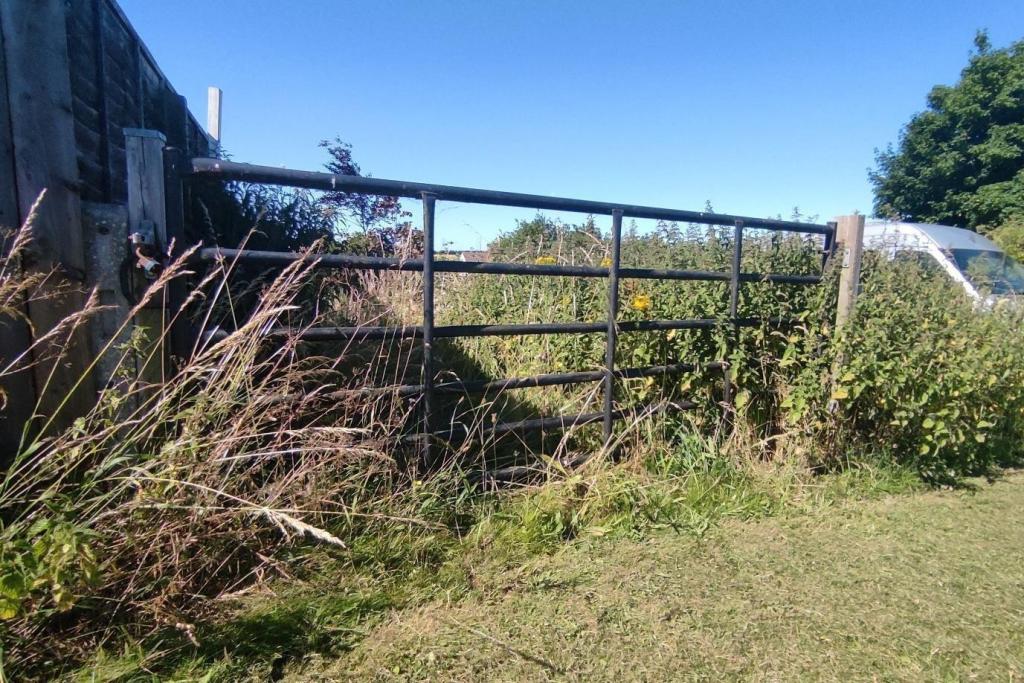 Rear Gate