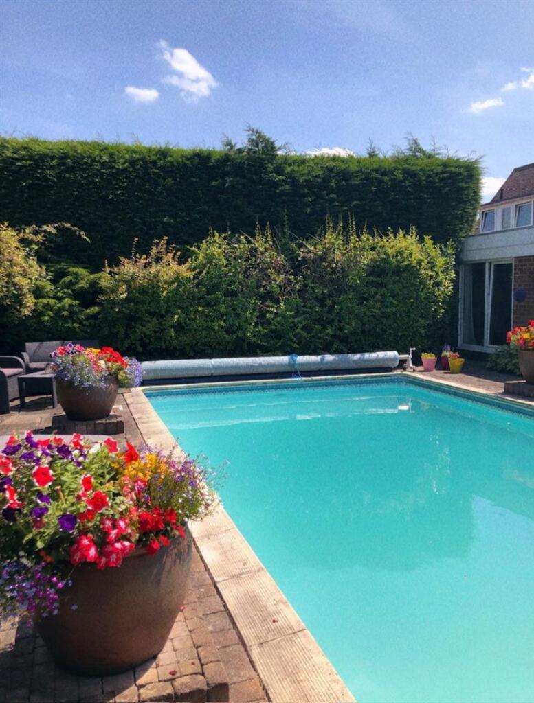 Vendor Garden Photos_10.JPG