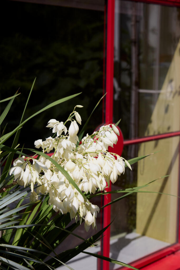 298235 - TMH_CHATSWORTH ROAD_31.JPG