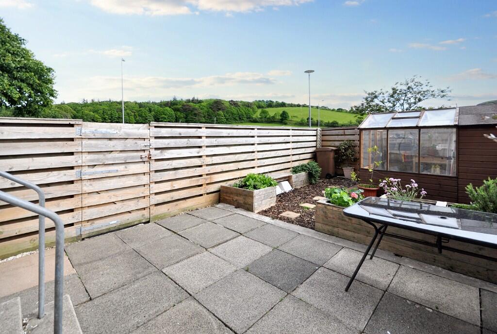 Back garden 