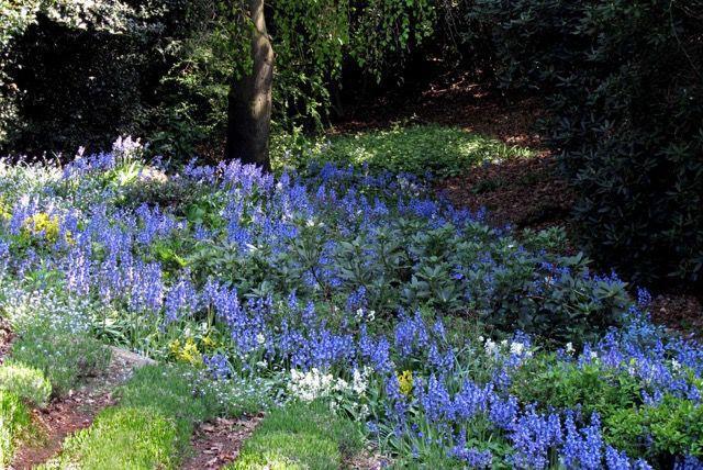 WhatsApp Image 2025-06-18 at 12.19.09 (1).jpeg