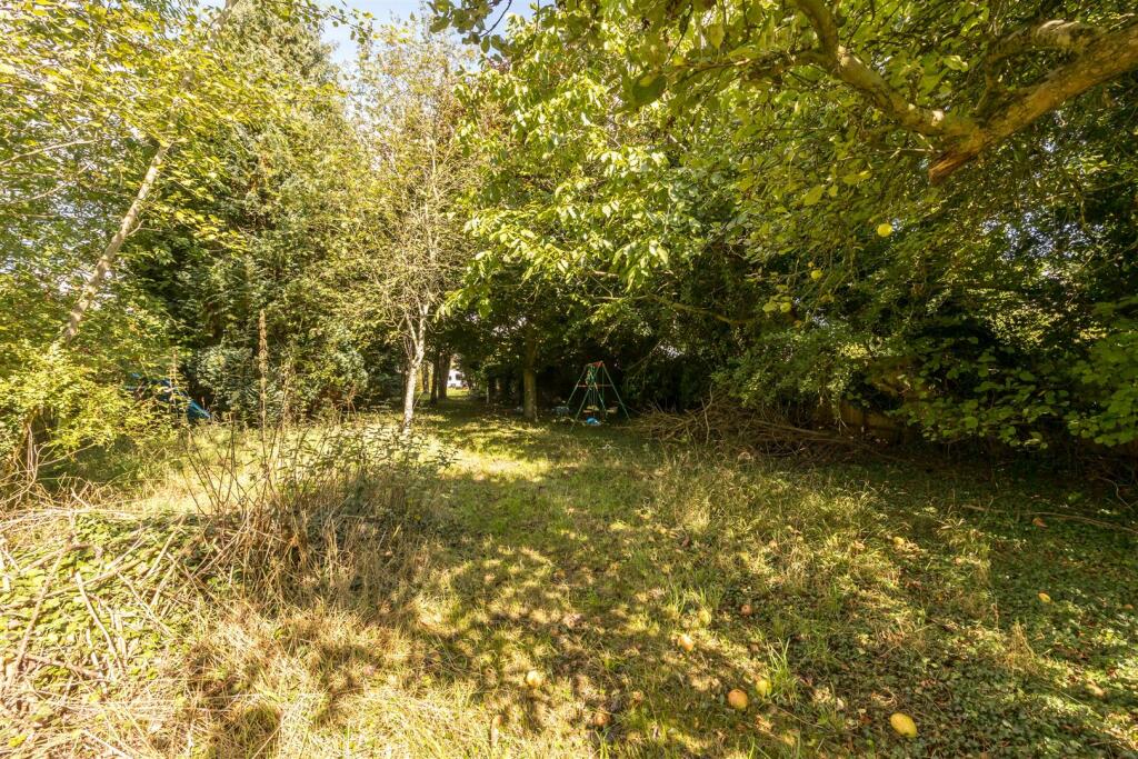 Wooded area near end of garden