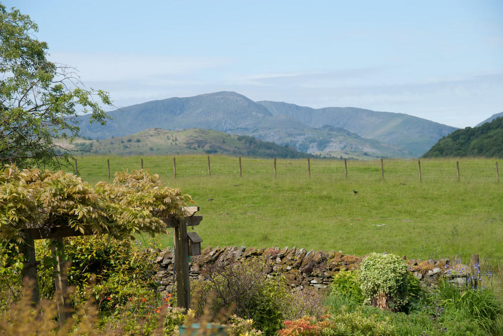 Views from Garden