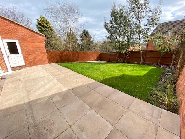 Back Garden