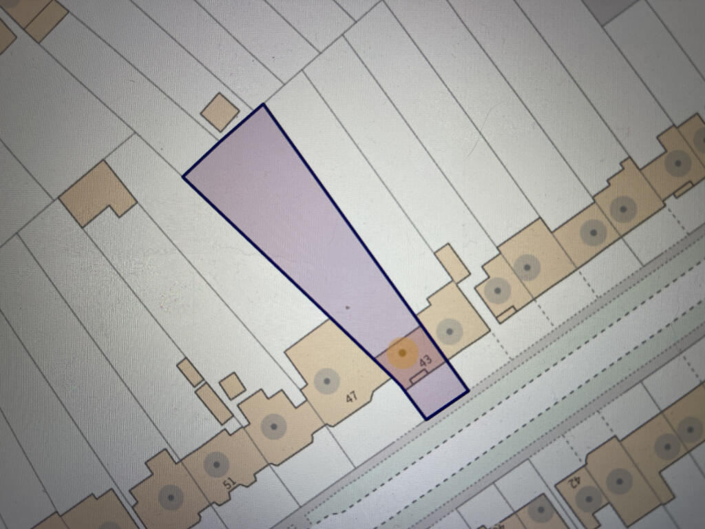 Outline of Plot