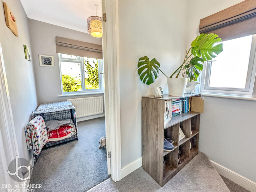 20250401_15062135...