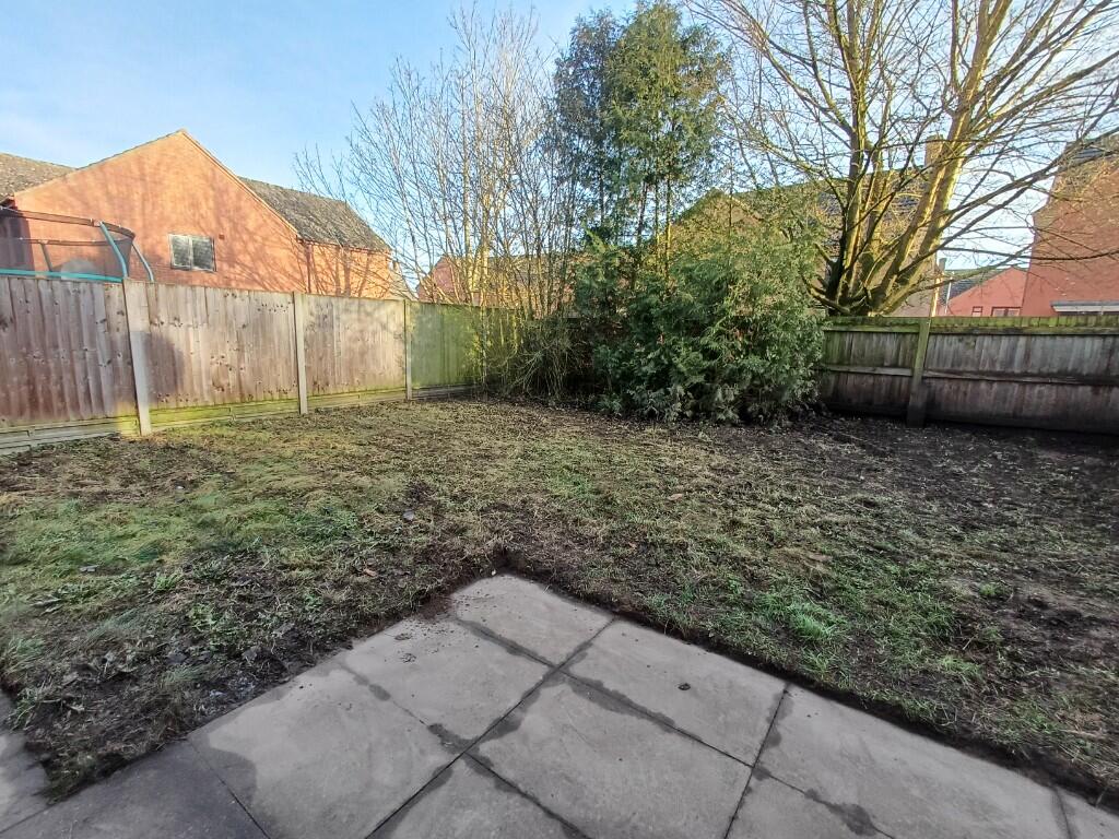 Back garden 