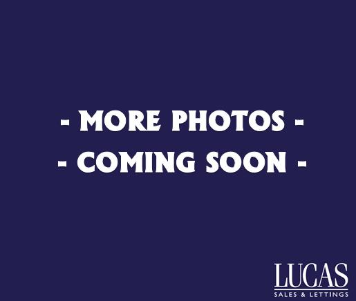 more photos coming soon.png