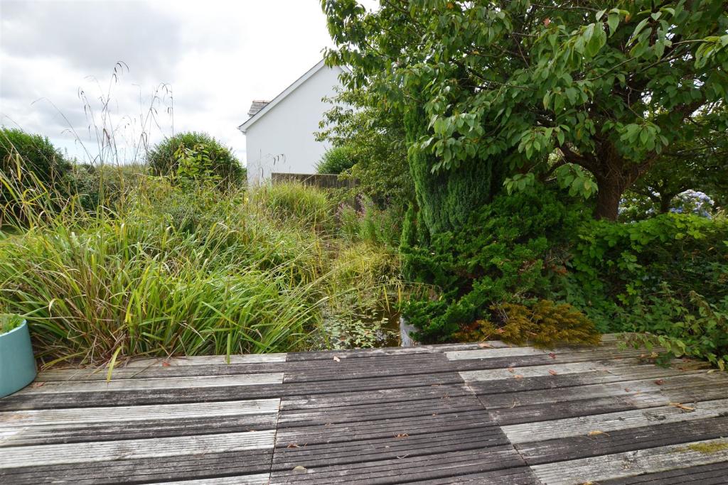 garden 5.JPG