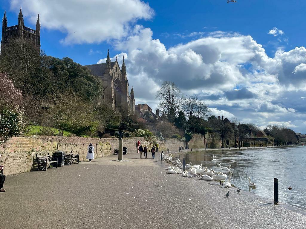 Super location with riverside walks