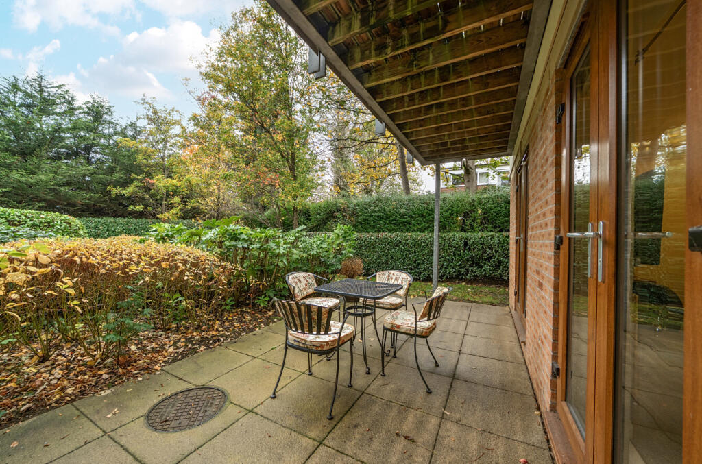 Rear Patio