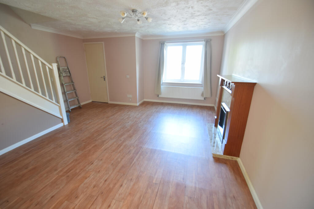 DSC_0543 - Copy (2).JPG