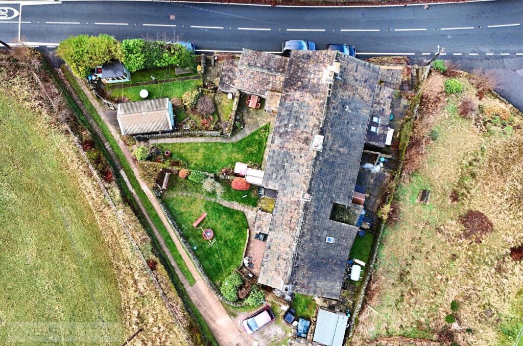 Picture No. 36