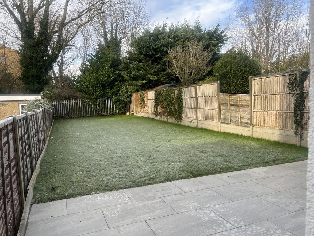 Back garden
