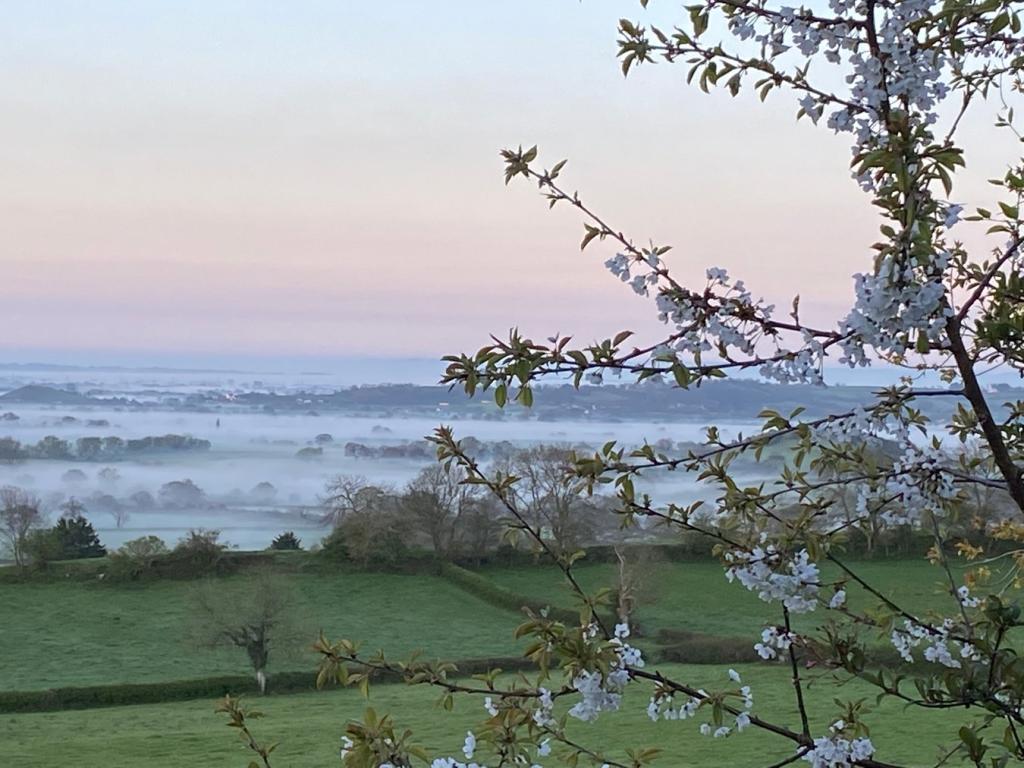 View with early morn