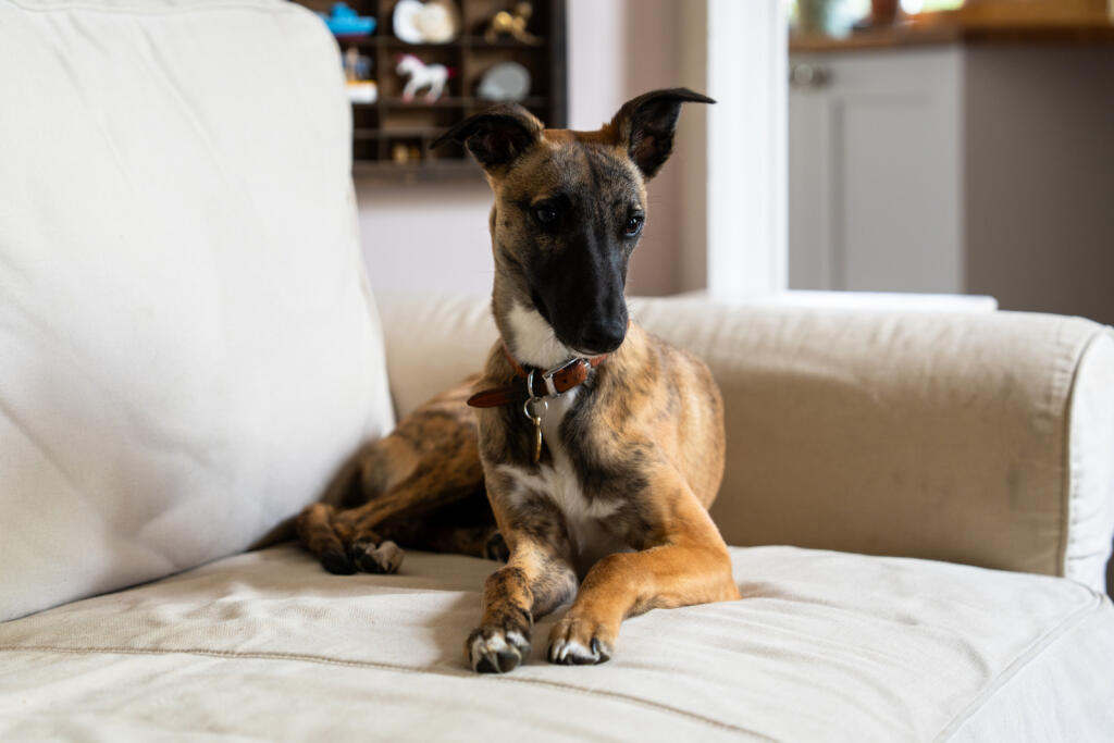 279180 - DSC06034.jpg