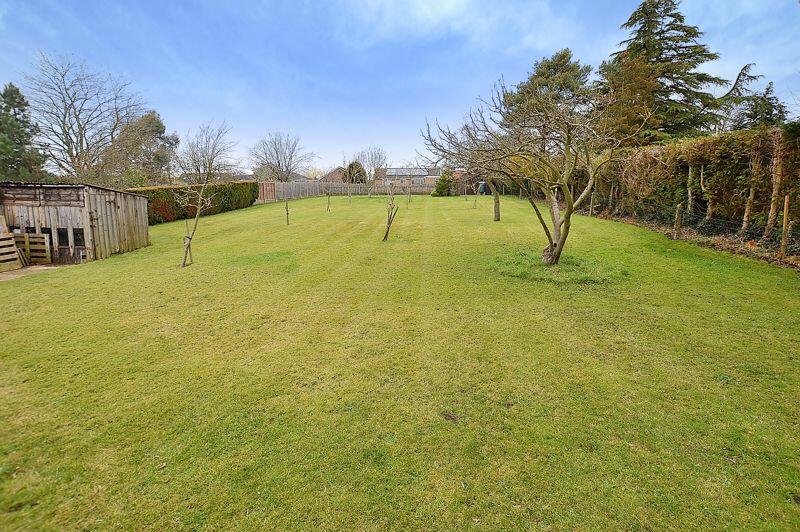 Large Rear Gardens