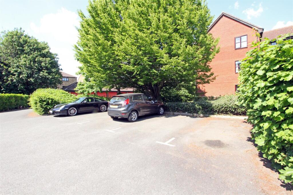 IMG_5464 parking.jpg