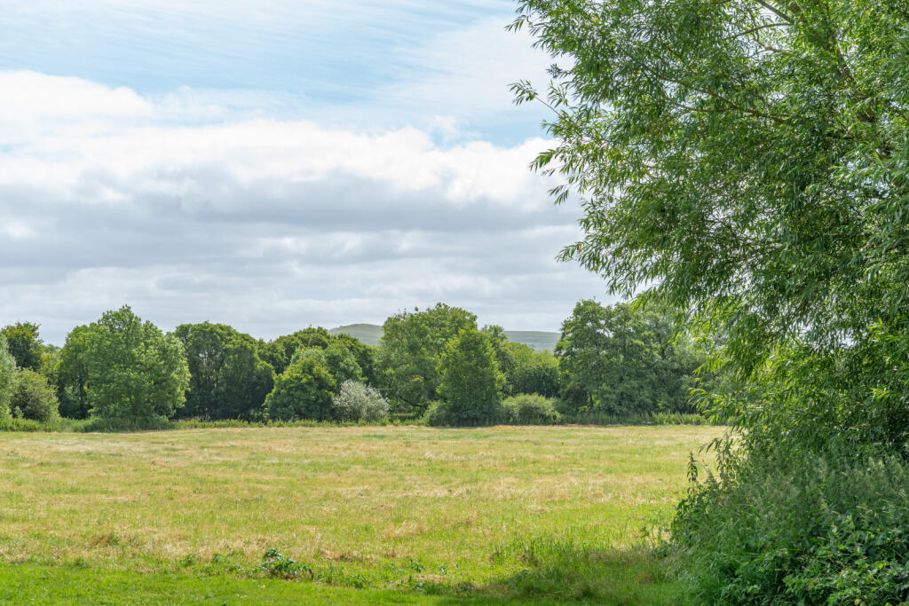 Paddocks
