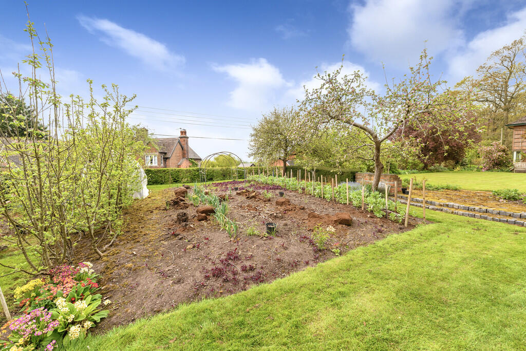 Garden 3