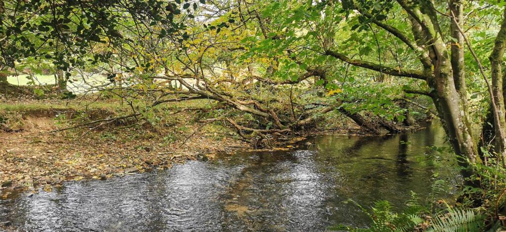 River Meavy
