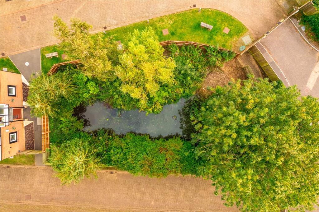Pond