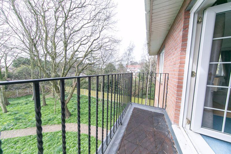 Balcony tree tops view
