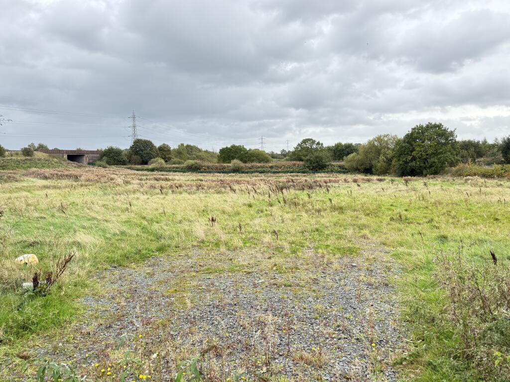 IMG 1638 T202510061145.jpeg