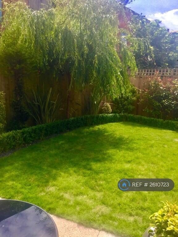 Back Garden