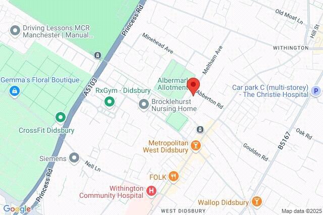 Google Maps Image