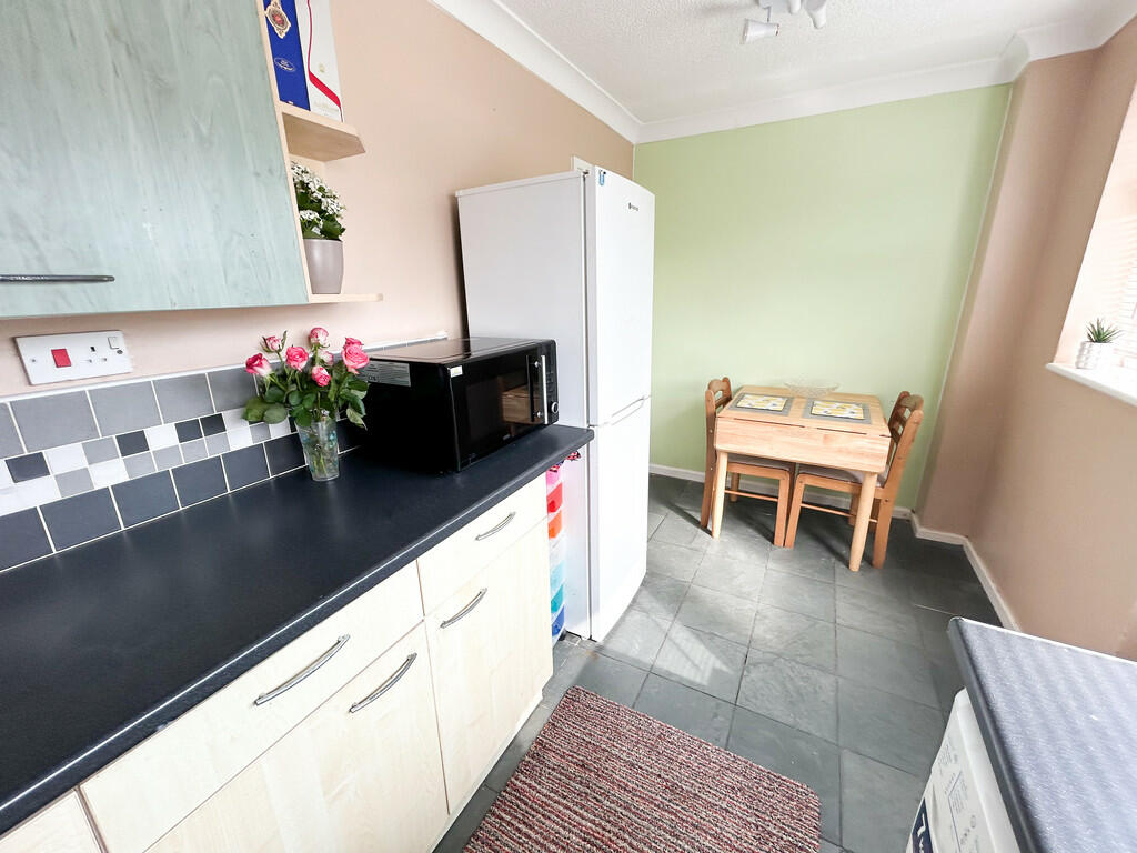 image_50402817 (1...