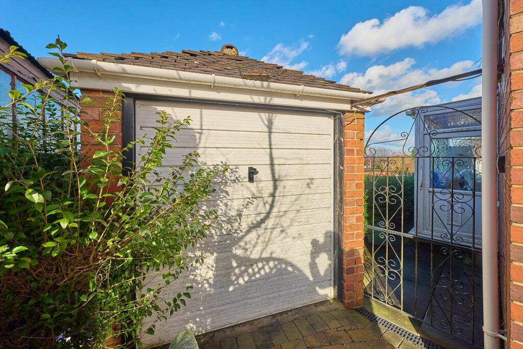 P1399087 T202502251801.jpg