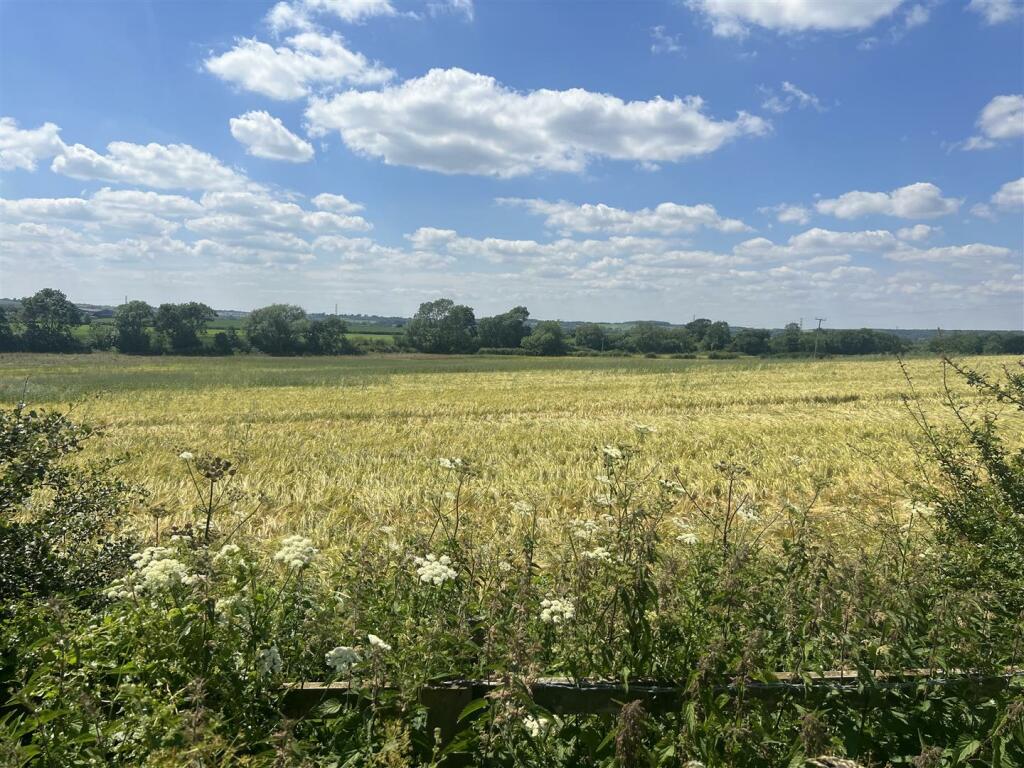 IMG_8095.jpeg