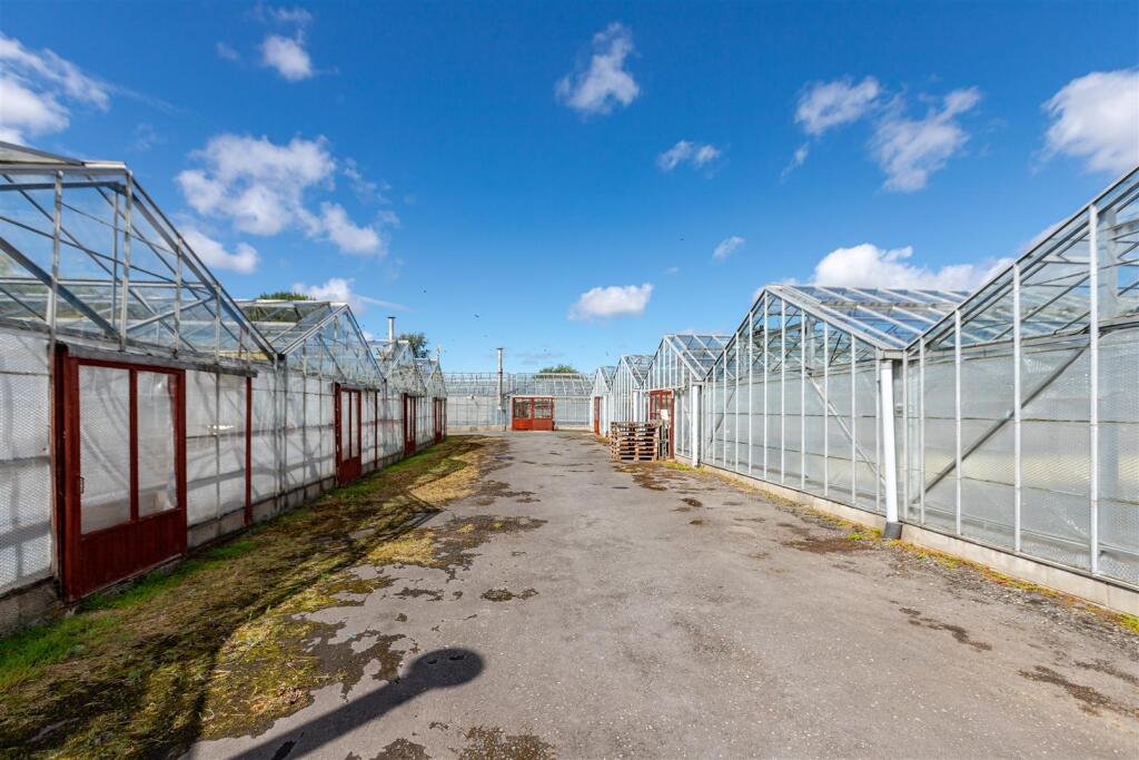 Sintons Nurseries - Ground glasshouse
