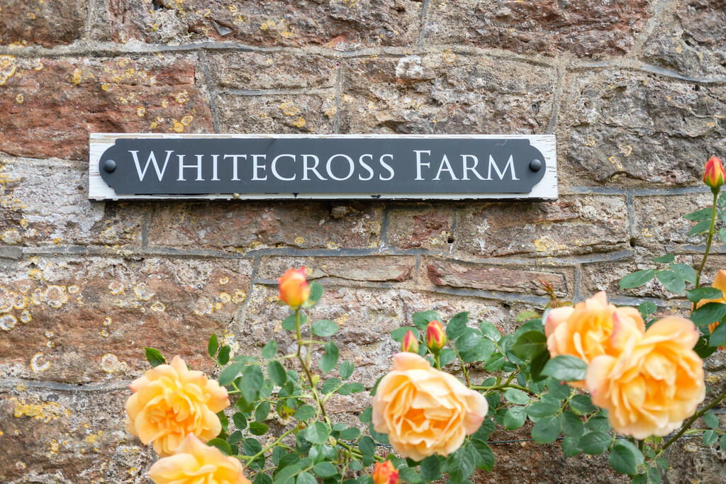 WhitecrossFarm_01