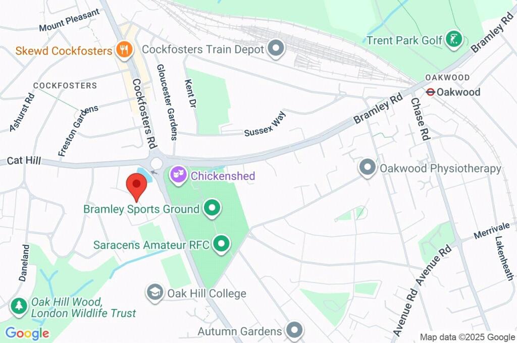 Google Maps Image