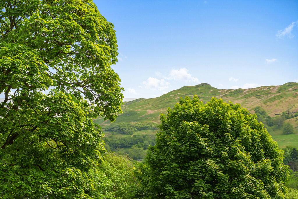 View from Propert...