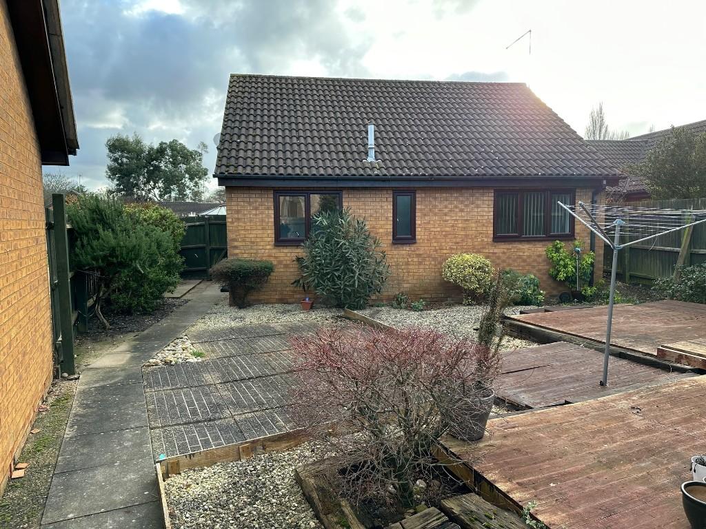 Rear Aspect